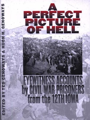 cover image of A Perfect Picture of Hell